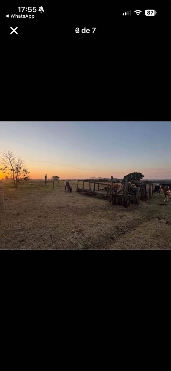 Chácara 45.000m2 - Foto 4