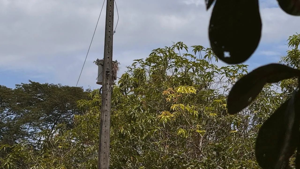 Oportunidade, chácara com Igarapé e energia, pagamento facilitado. - Foto 4
