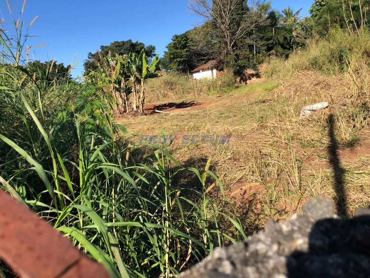 terreno - Chácara Belvedere - Campinas - Foto 4