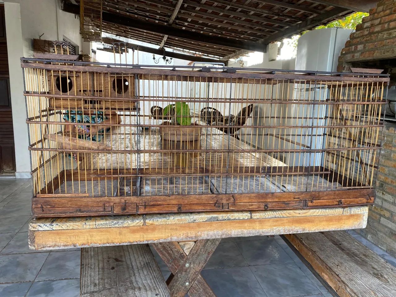 Viveiro grande rústico  - Foto 4