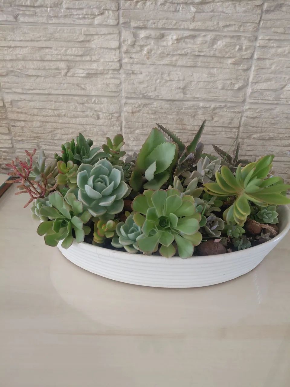 Jardinagem 