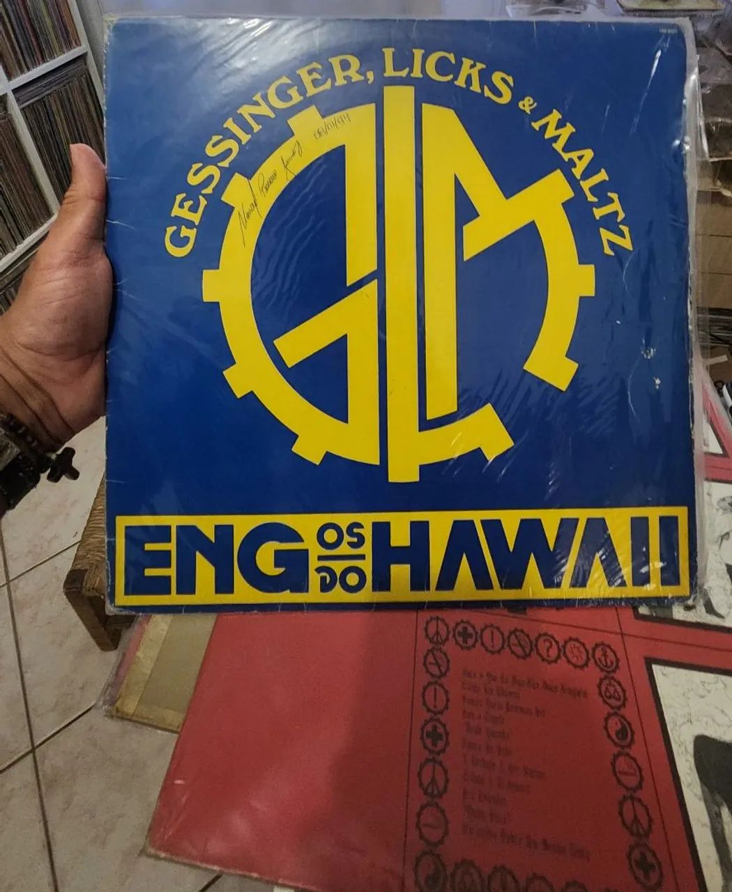 COMBO 2 LPS ENGENHEIROS DO HAWAII DISCO VINIL.LP POP ROCK