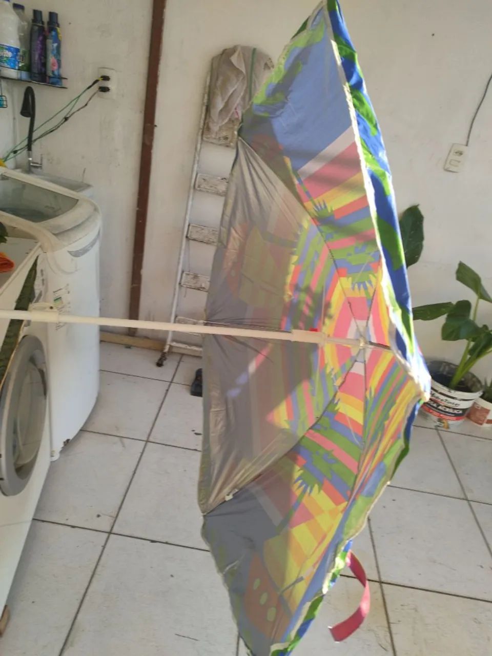 Vendo este sobreiro  - Foto 2