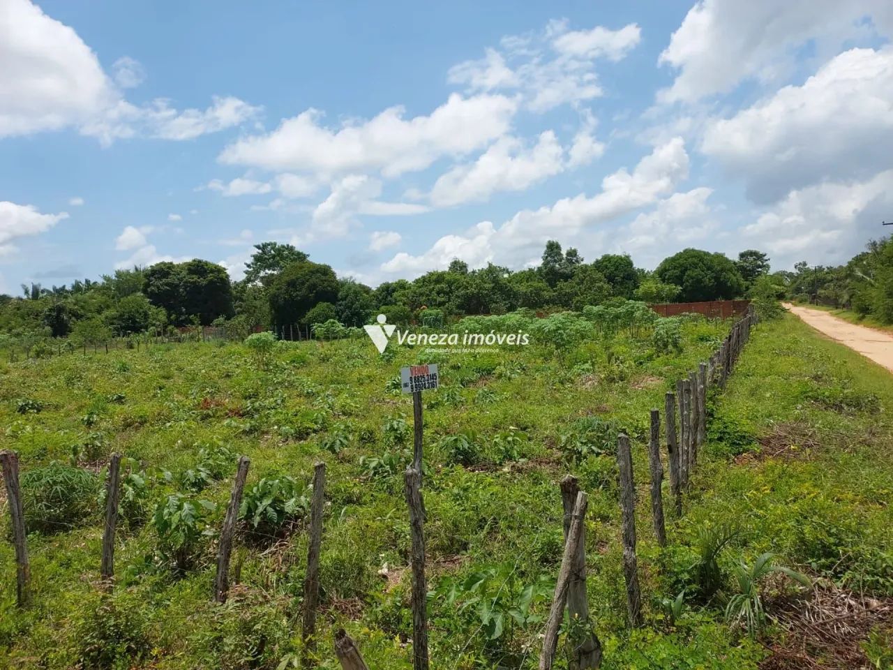 Terreno no povoado nova Olinda a venda - Foto 4