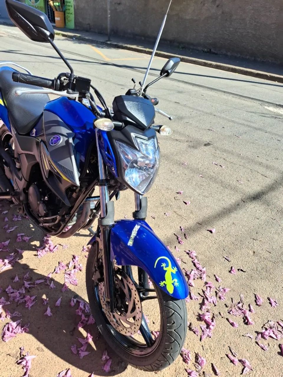 Fazer 250 versão limitada bem conservada  - Foto 5