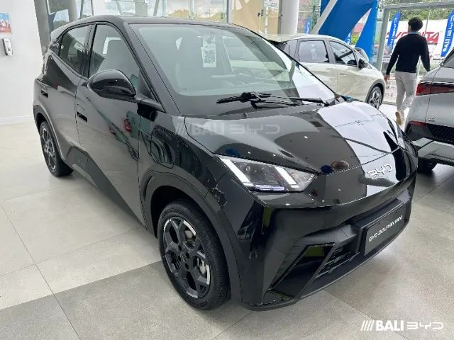 BYD Dolphin Mini GL 2027