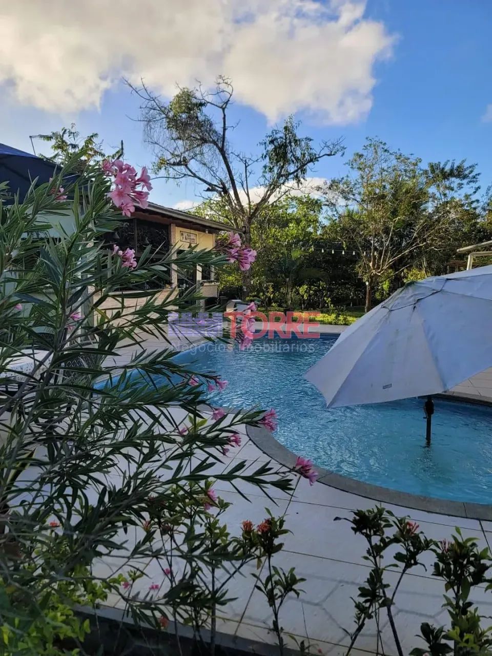 Lindo Sítio à venda, com 3,6 ha - Ilhéus, BA - Foto 4