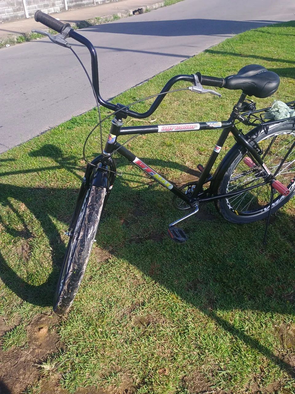 Bicicleta safari  - Foto 2