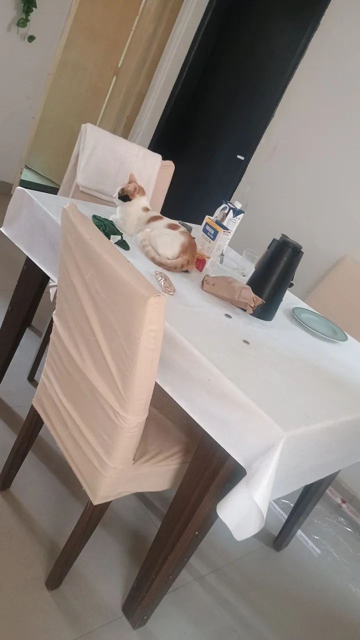 Vende-se mesa de jantar  - Foto 2