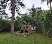 25 Hectares - Oportunidade  !!! - Foto 5