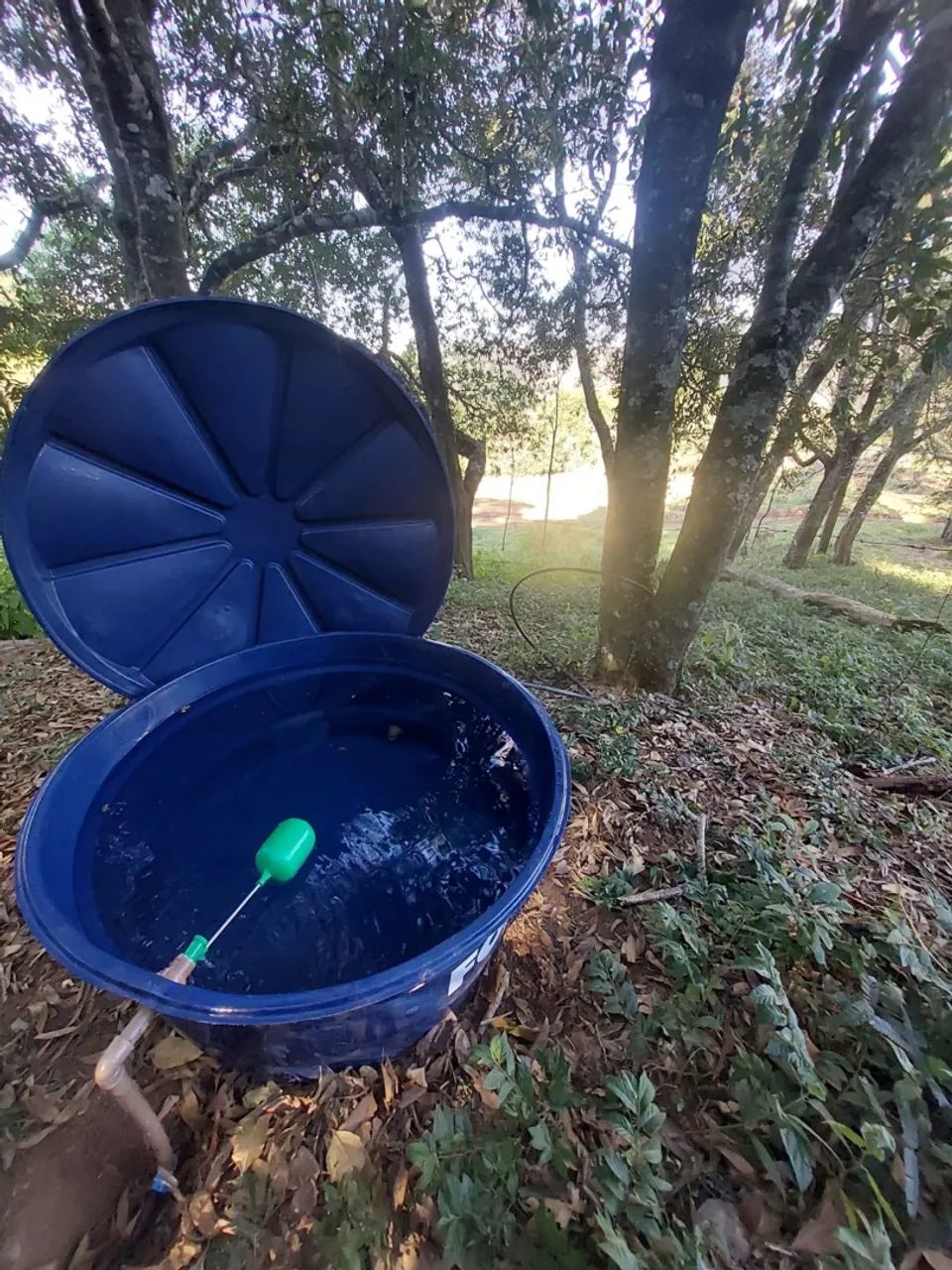 Imóvel rural em São Thomé das letras  - Foto 5