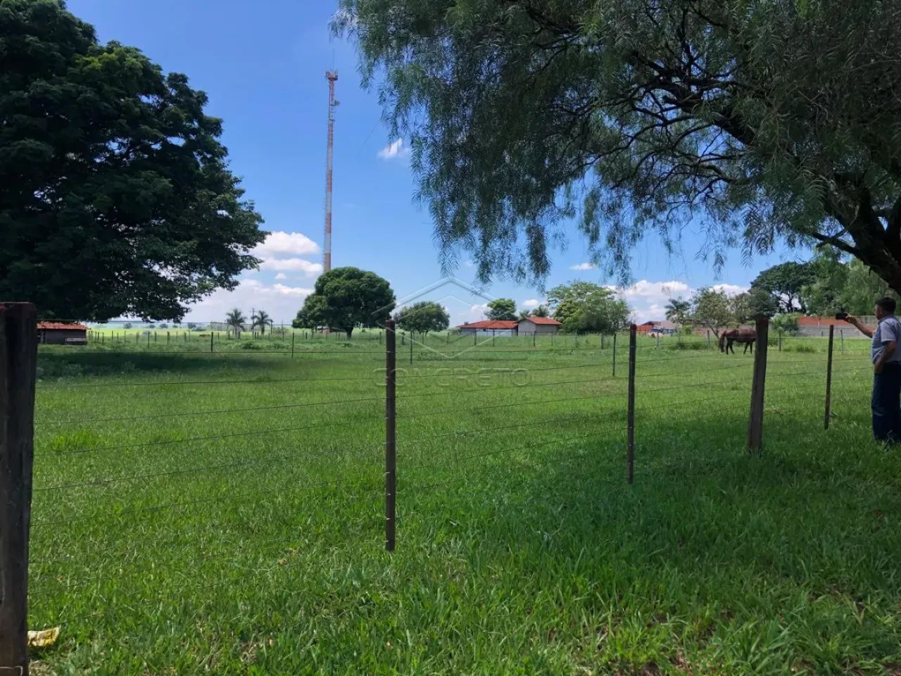 Lote rural em Arealva - centro da cidade!!