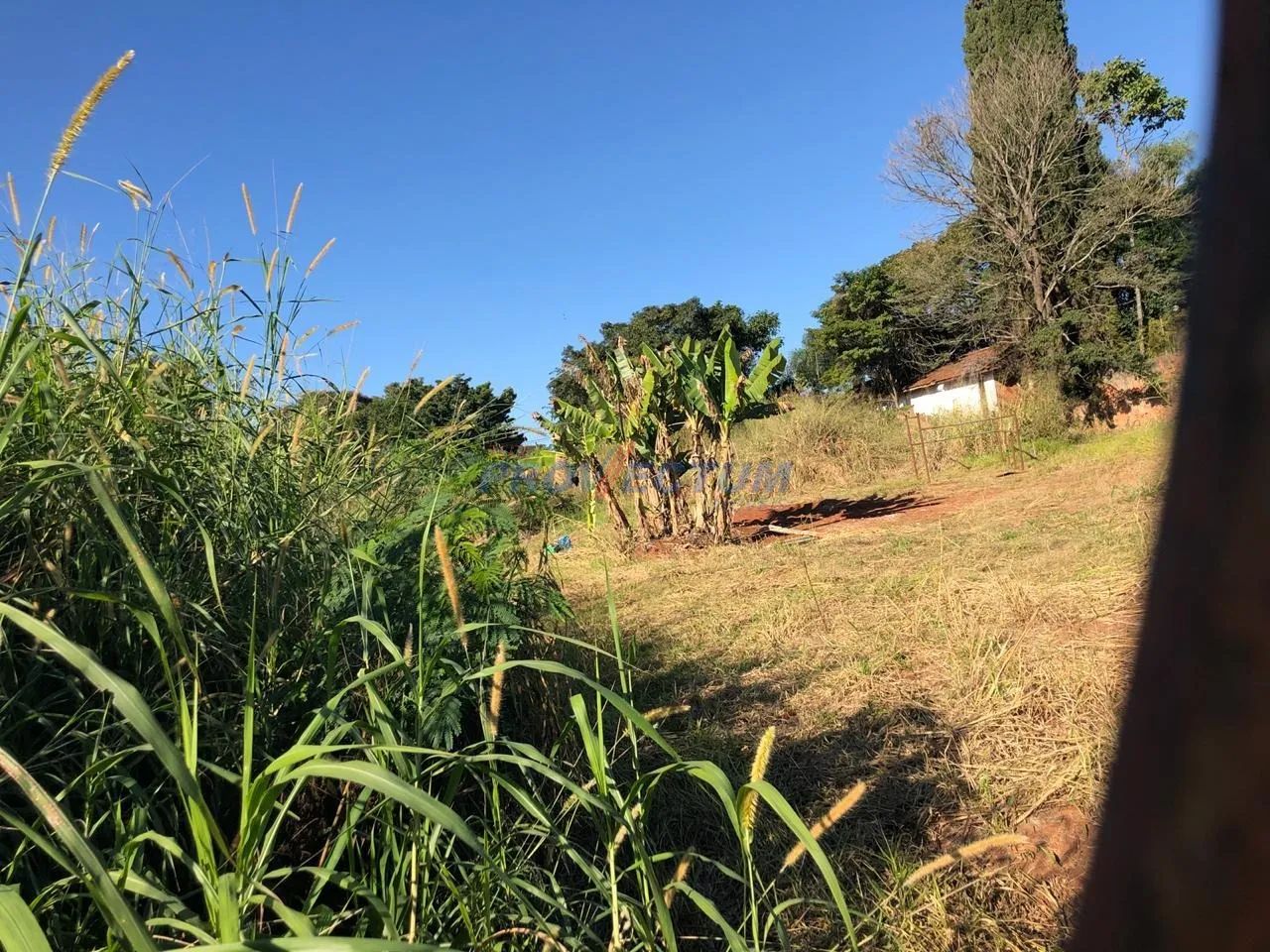 terreno - Chácara Belvedere - Campinas - Foto 3