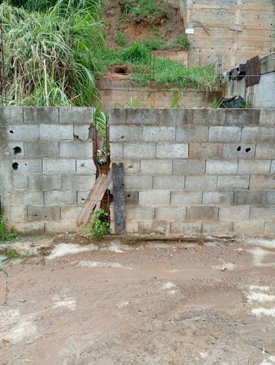 Foto - São Paulo - Fazenda Aricanduva