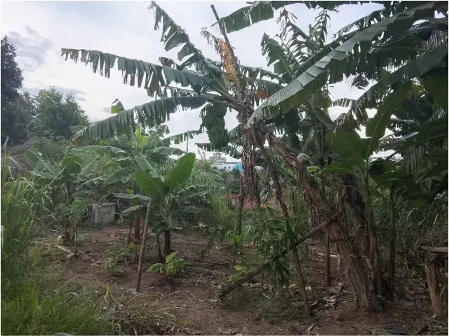 Terreno a venda! - Foto 4