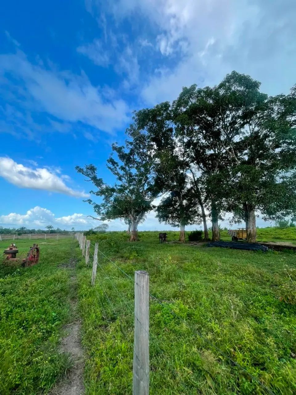 Fazenda a venda regiâo do pará  - Foto 5