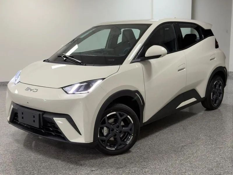 BYD Dolphin Mini (Elétrico) 2027 - Foto 2