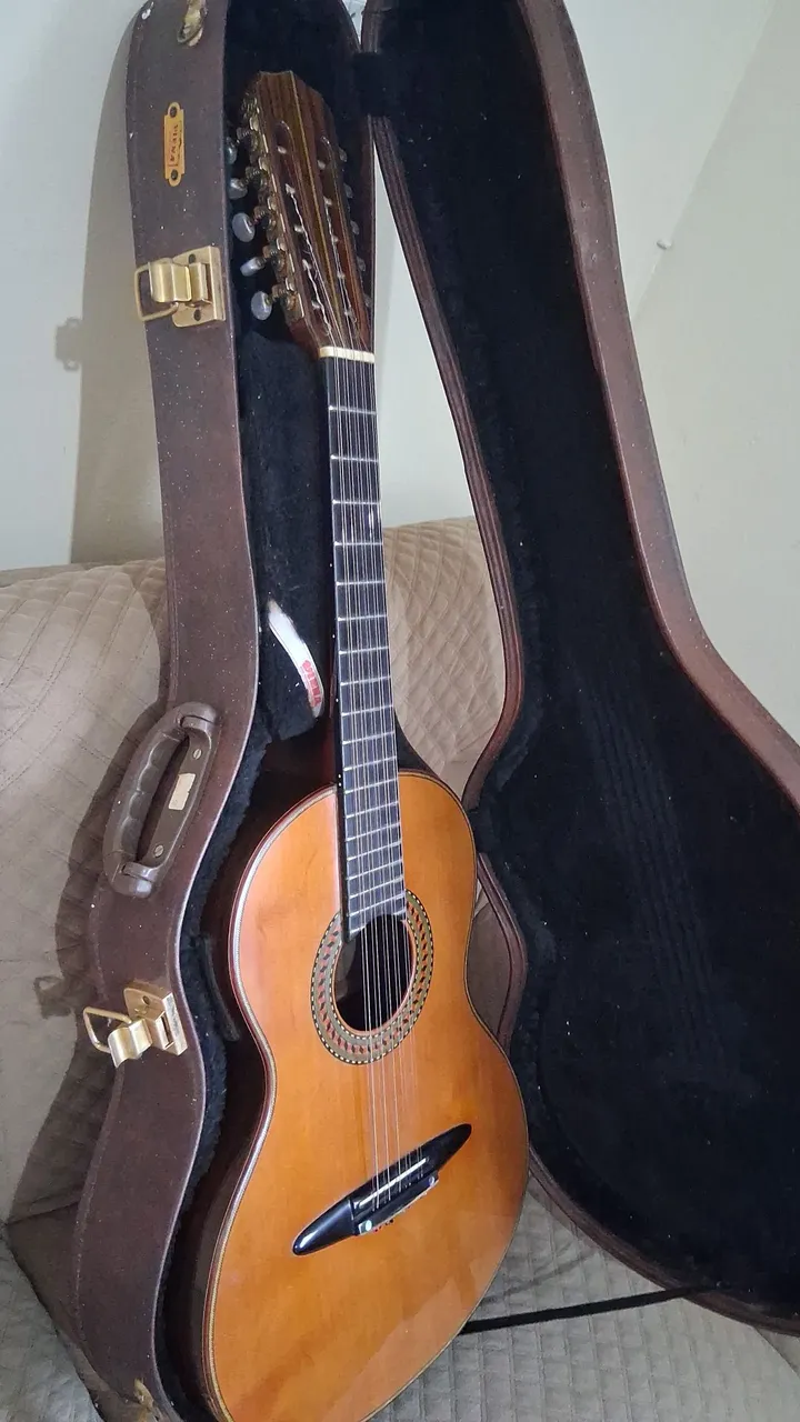Strymon Ola - Instrumentos musicais - Vila Itatiaia, Goiânia