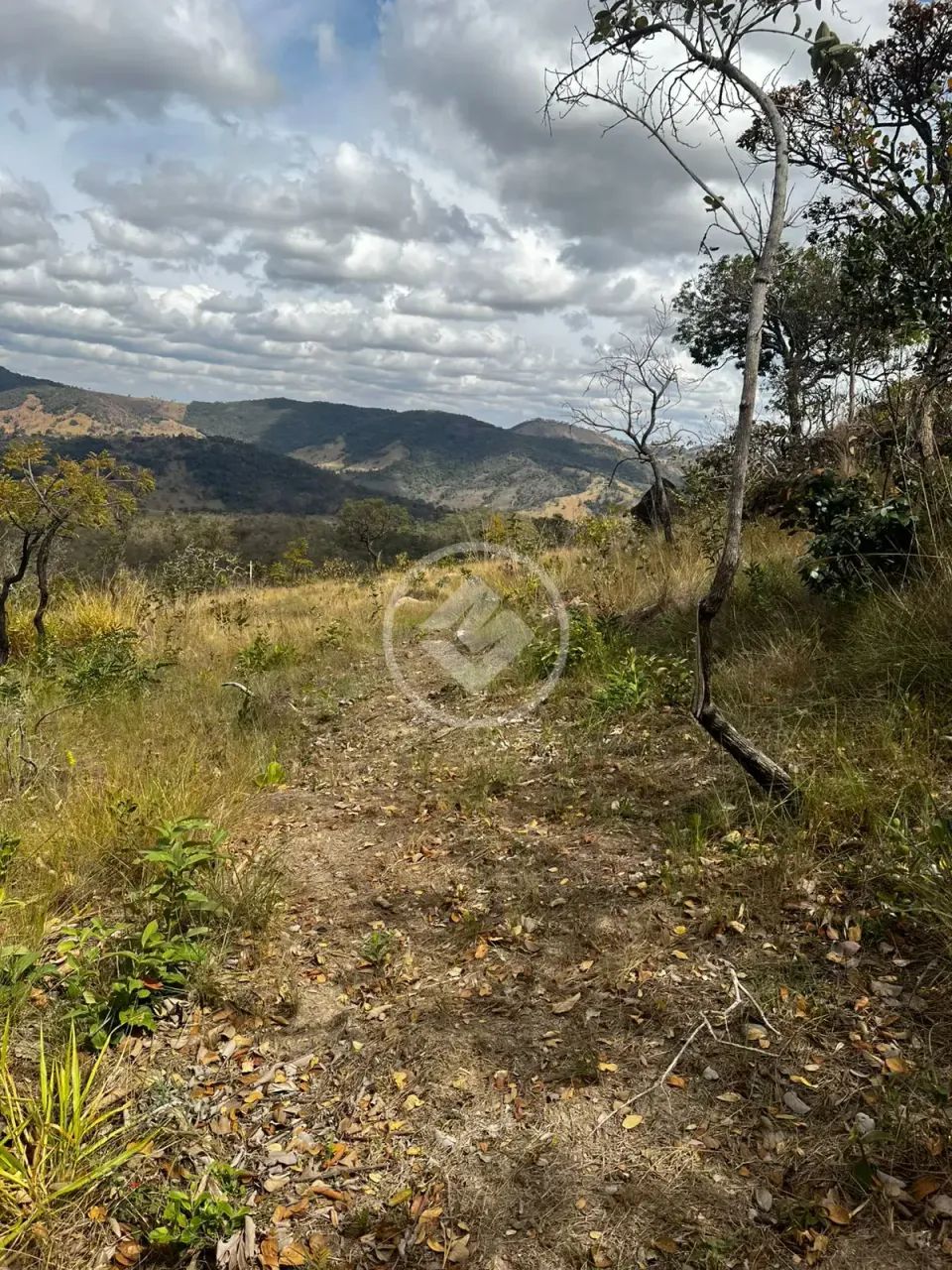 Terreno à venda codigo: 141831