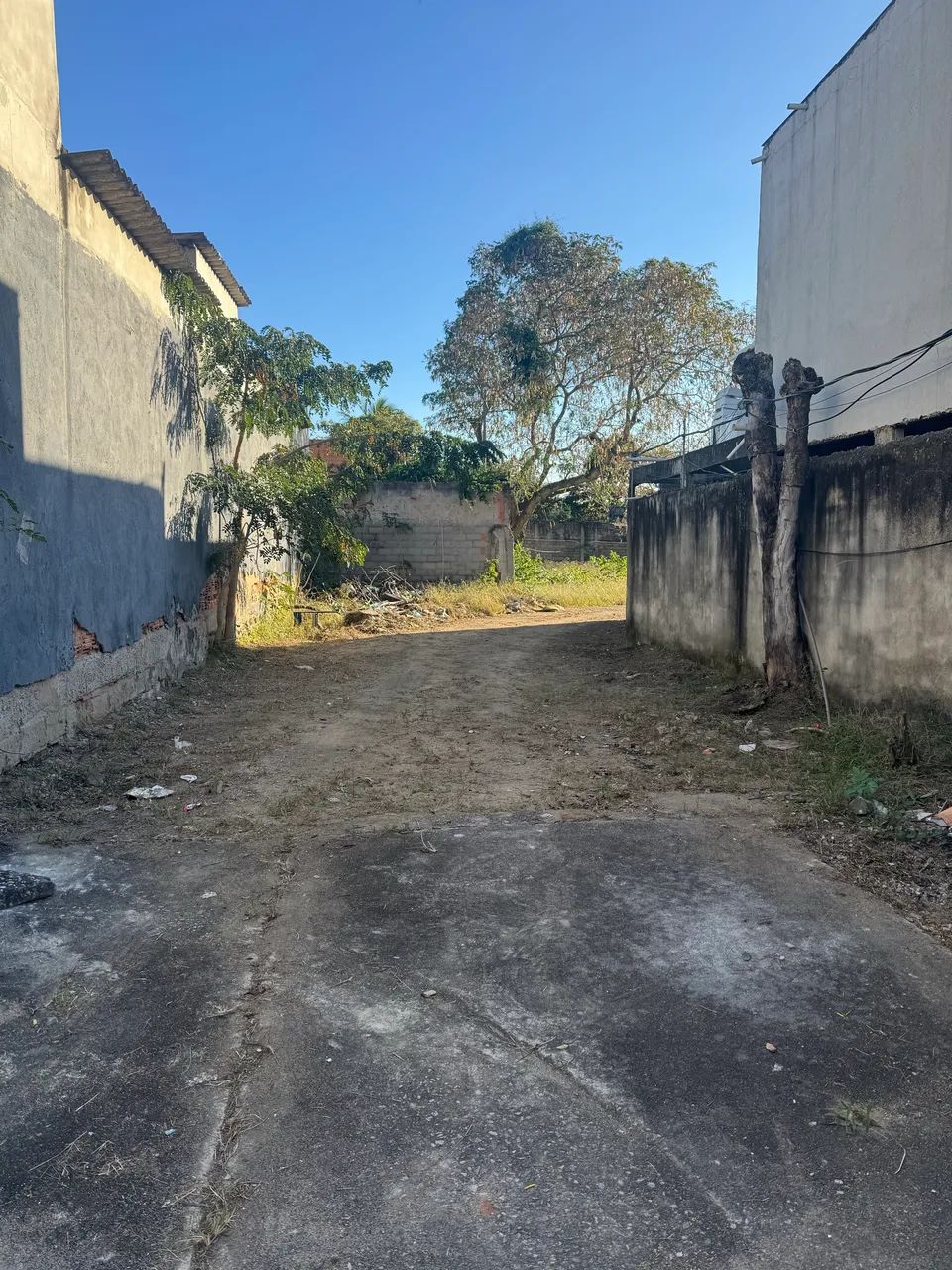 Galpão  - Foto 3