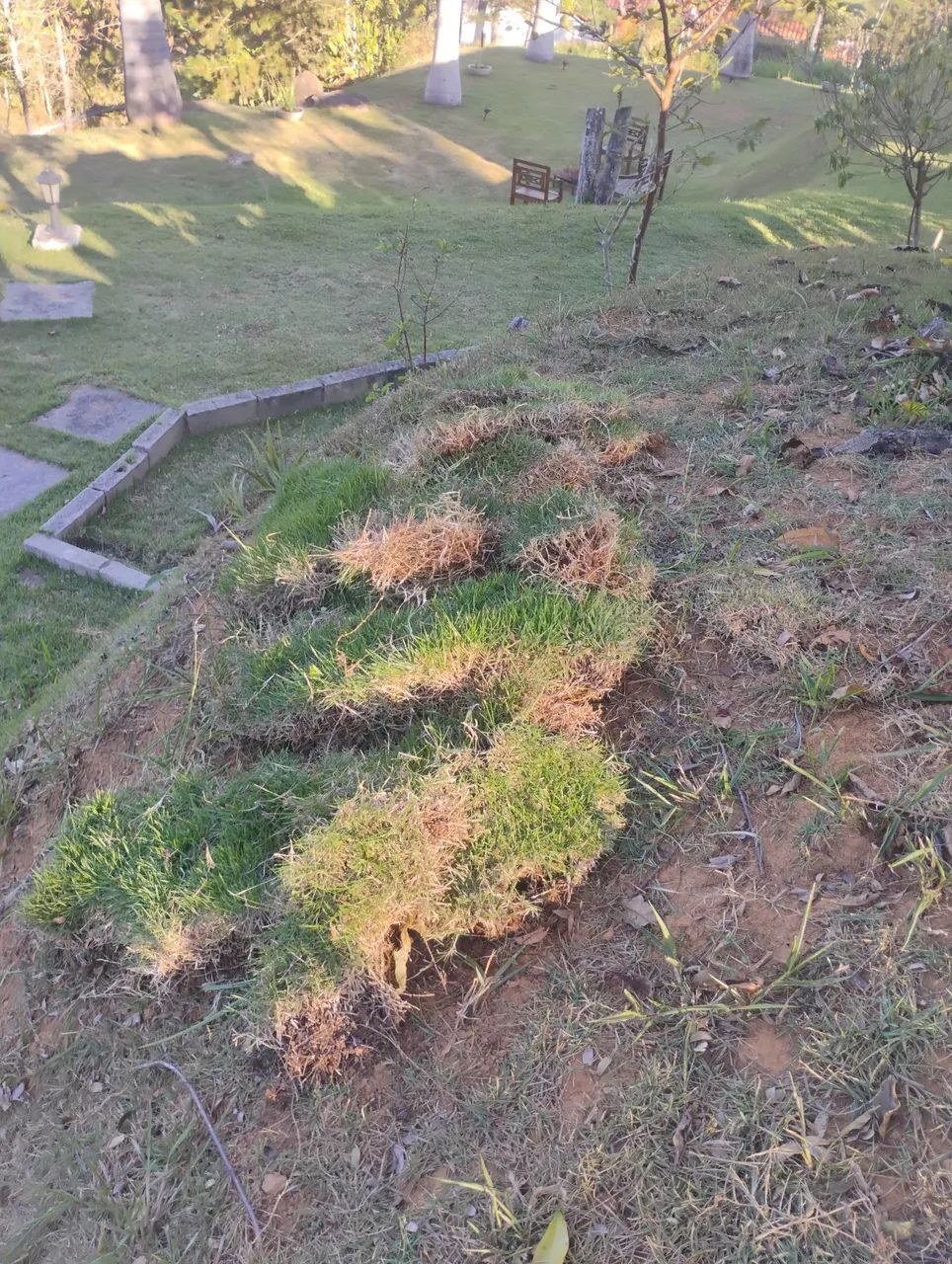 Serviço gerais  - Foto 5