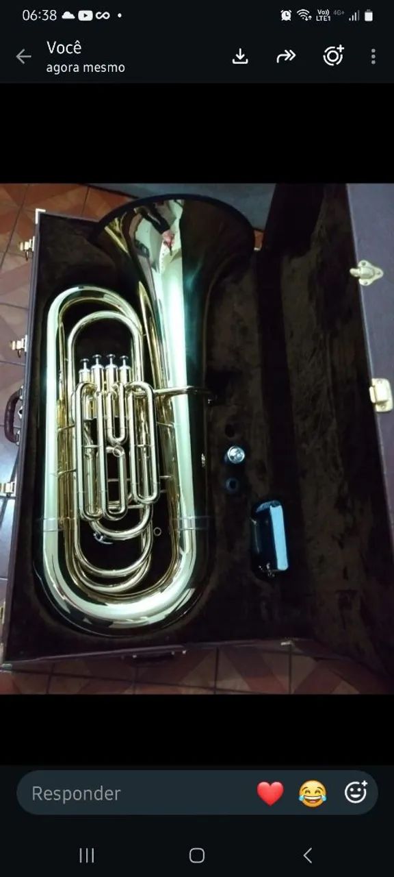 Estojo para tuba weril 981 - Foto 3