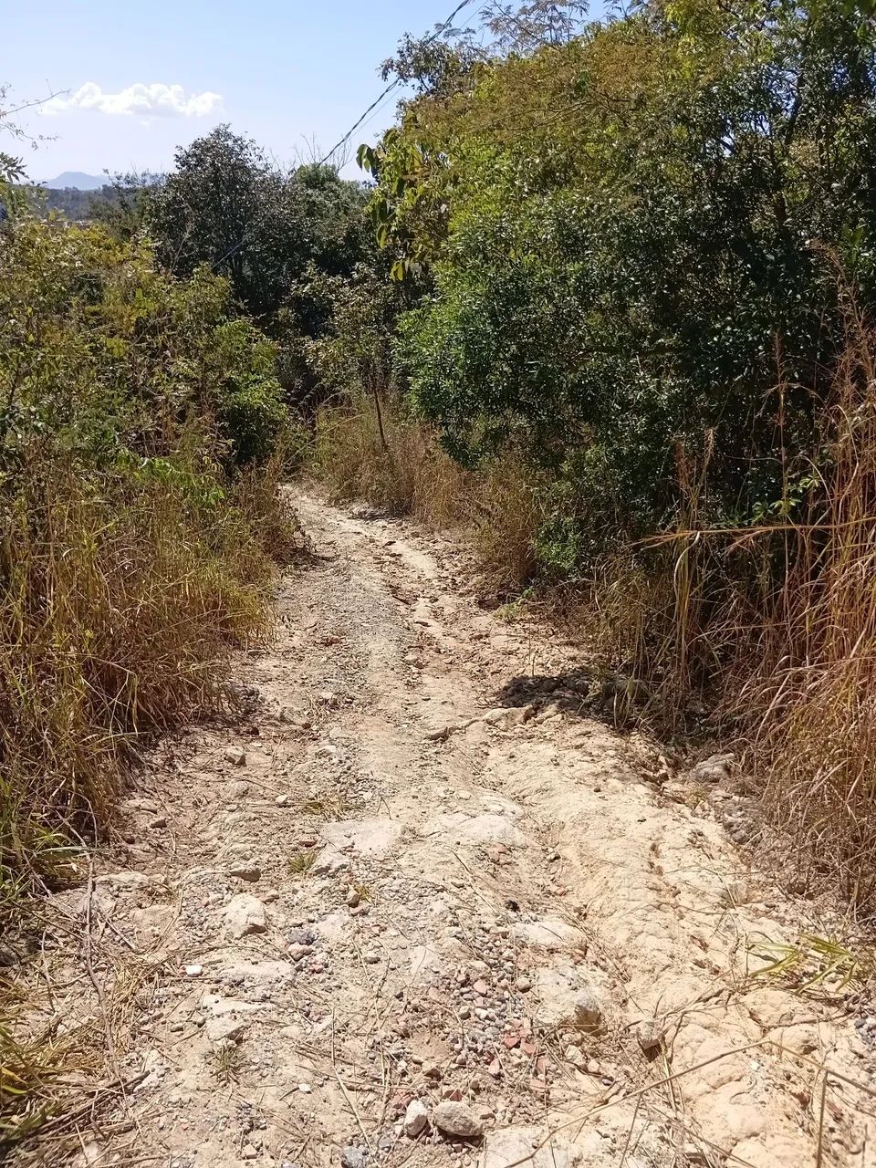 Chácara em Muniz/Caeté - Foto 5