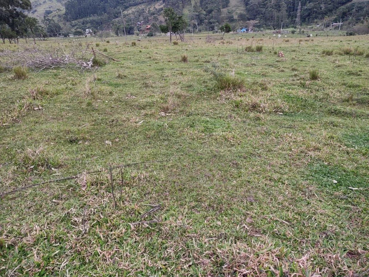 Na BR101, Imbituba. 40.000m2, plano, bom acesso. - Foto 3
