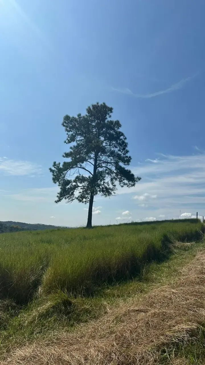 Terreno 500m² em Ibiúna Condomínio com Lazer Completo - Foto 5
