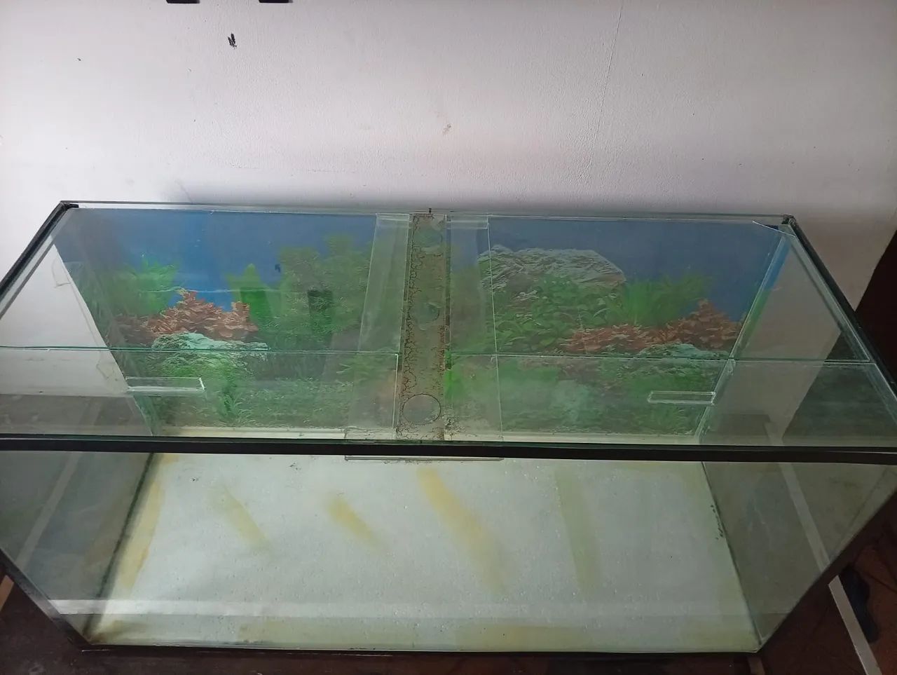 Aquário (ler anúncio)