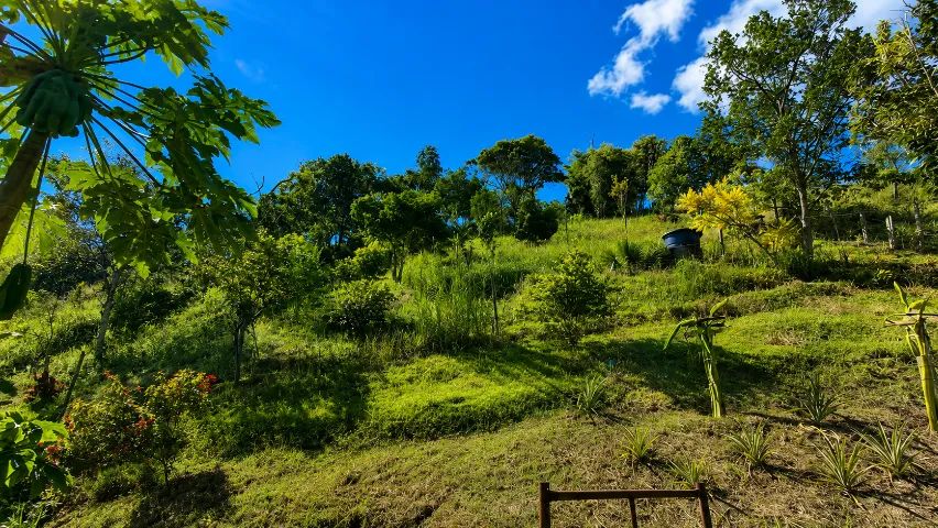 Chacara a venda em Redenção da Serra - Foto 5