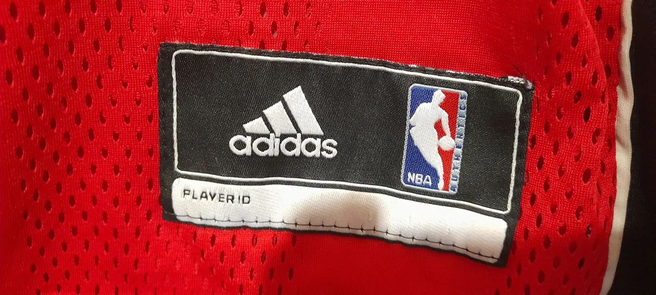 Camiseta chicago bulas / Rose- 2009 - Foto 3