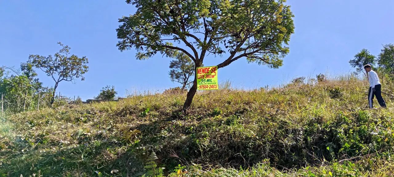 Lote de oportunidade 