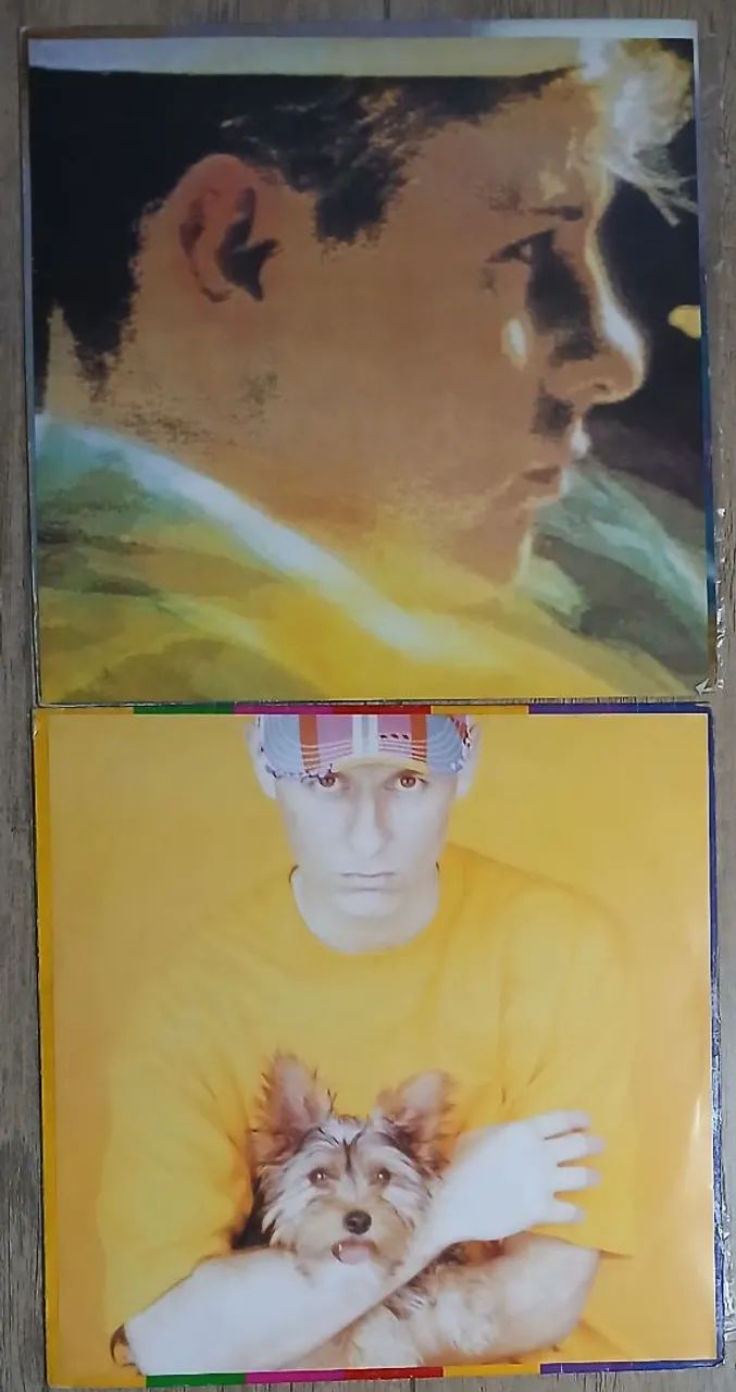 2 Discos de Vinil Pet Shop Boys - Foto 3
