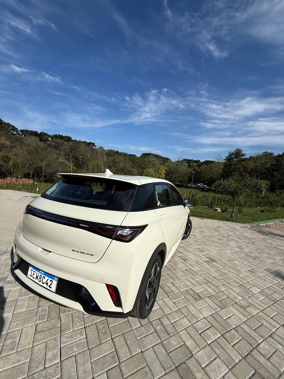 BYD Dolphin EV (Elétrico) 2024 - Foto 3