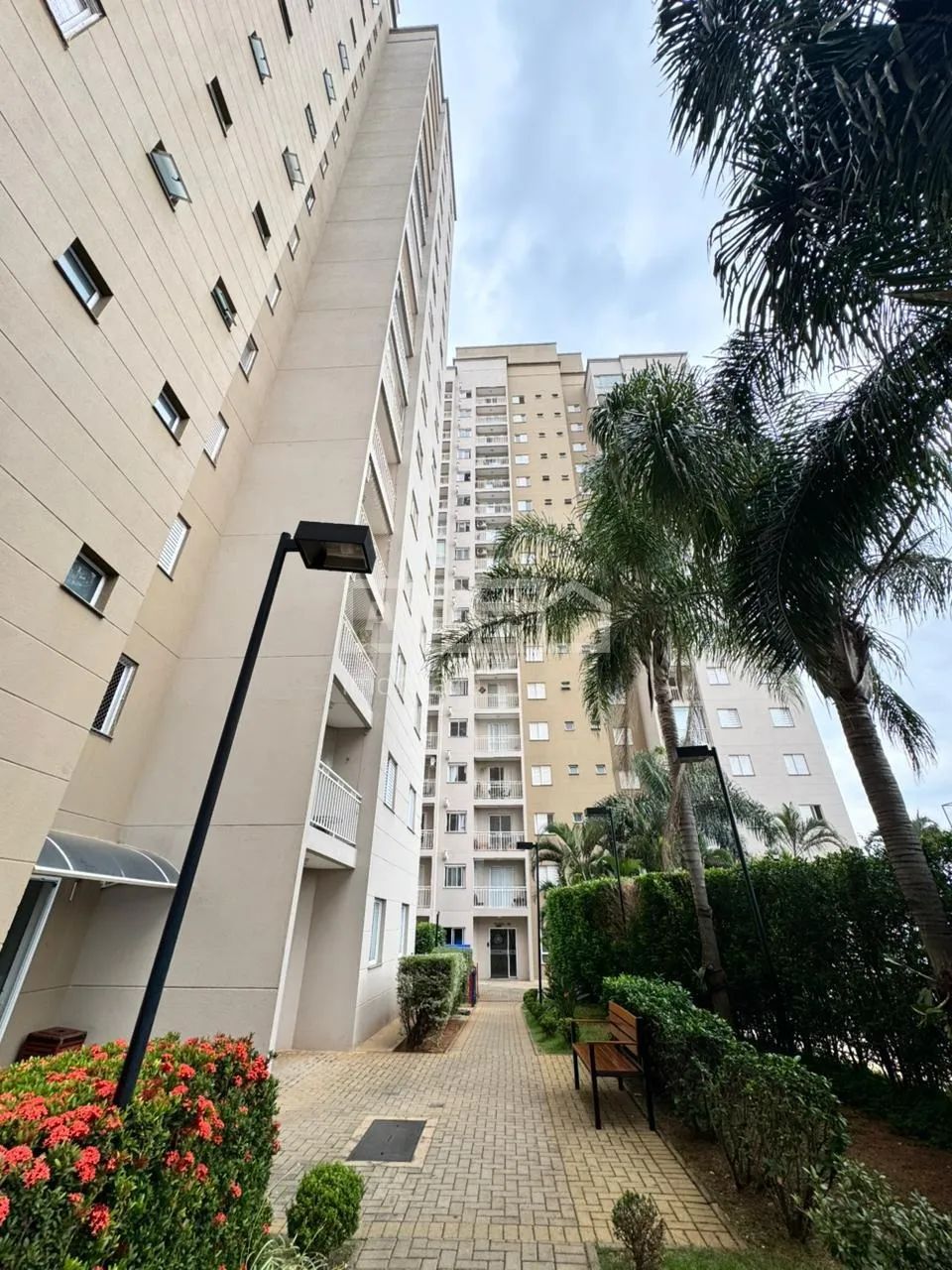 apartamento - São Bernardo - Campinas - Foto 2
