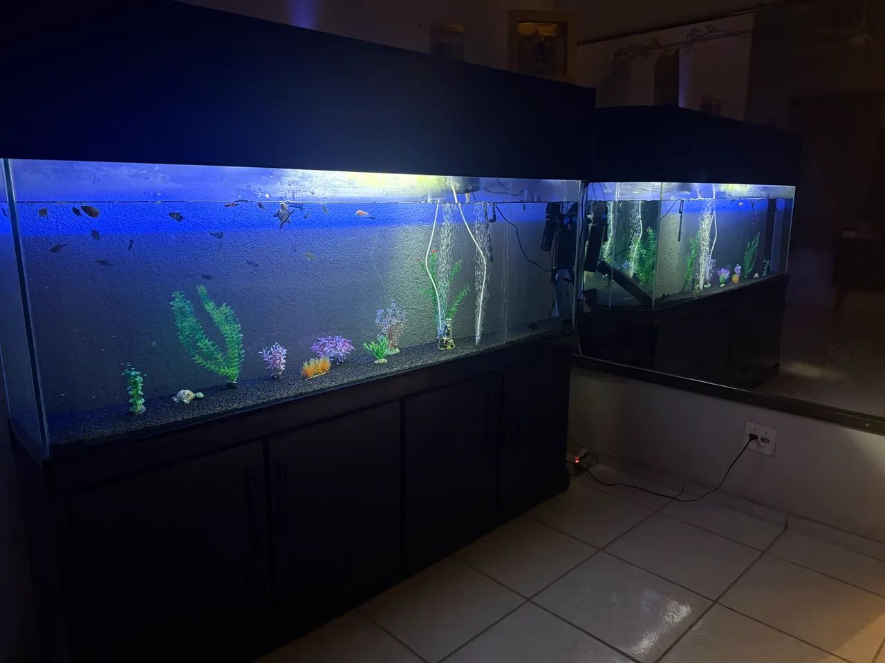 Aquário  - Foto 2