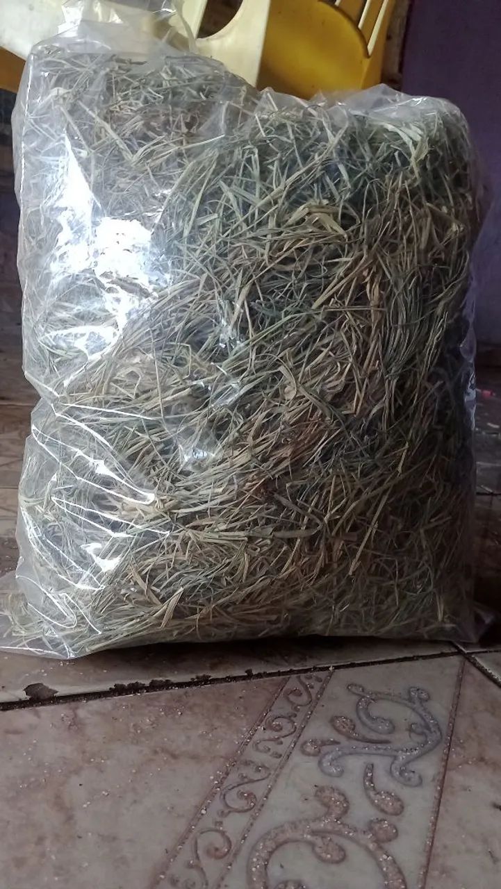 RAÇÃO PARA ROEDORES 