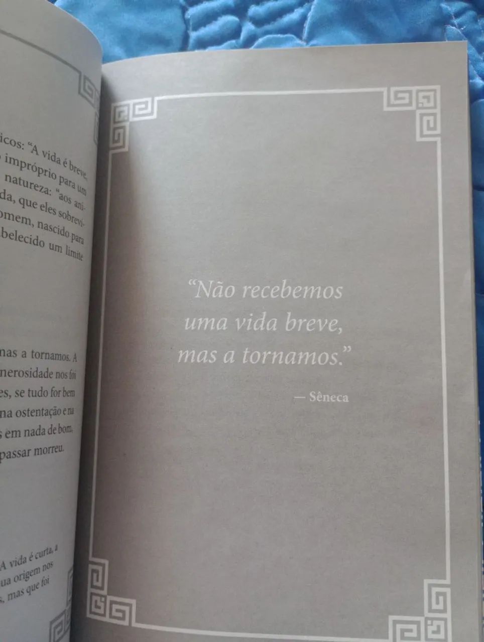 Sobre a Brevidade da Vida  - Foto 3