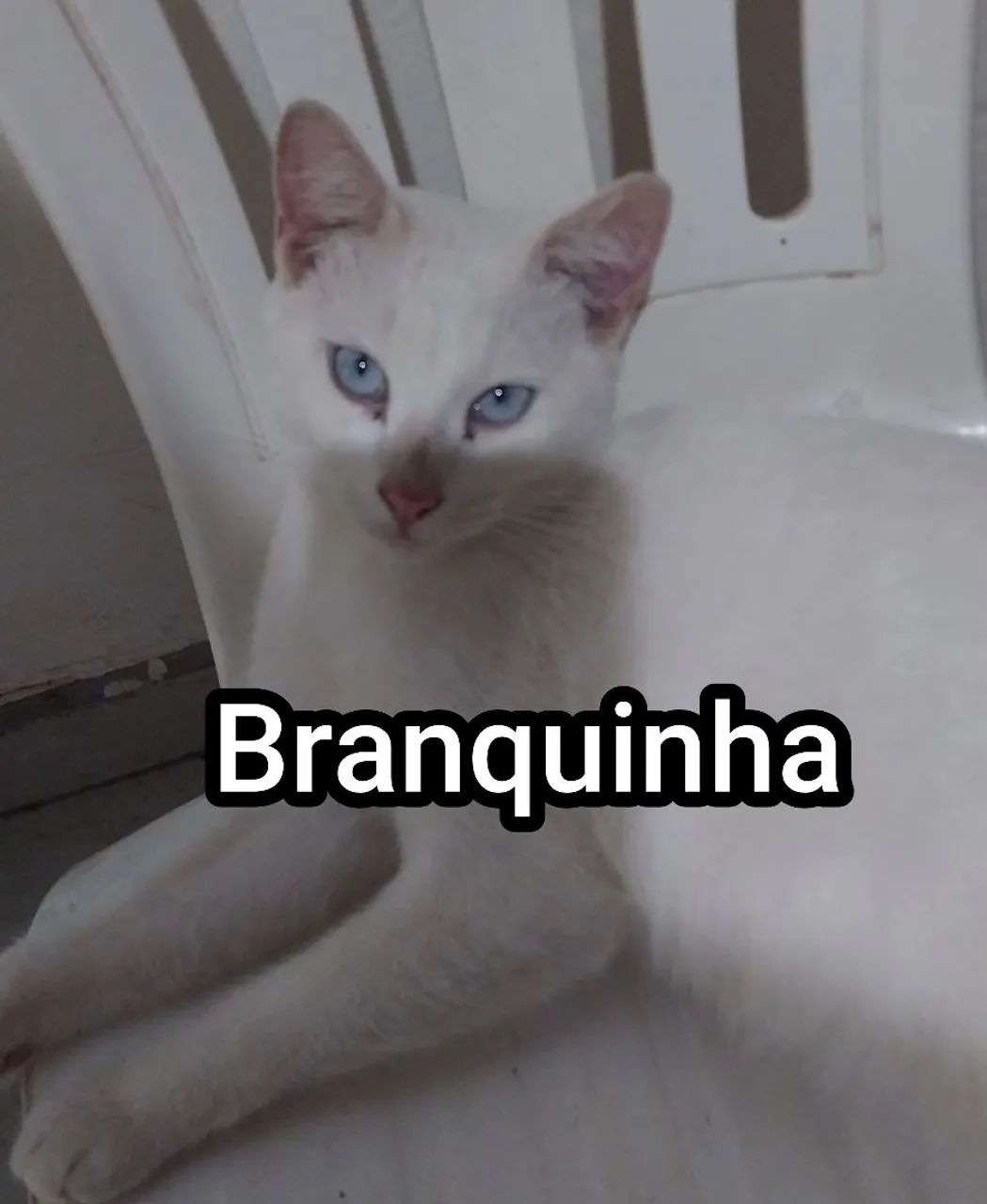DOAÇÃO RESPONSÁVEL  - Foto 2