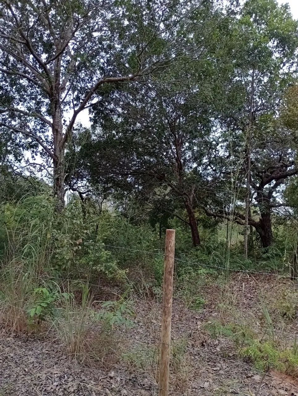 Estou pagando prestação ainda. - Foto 2