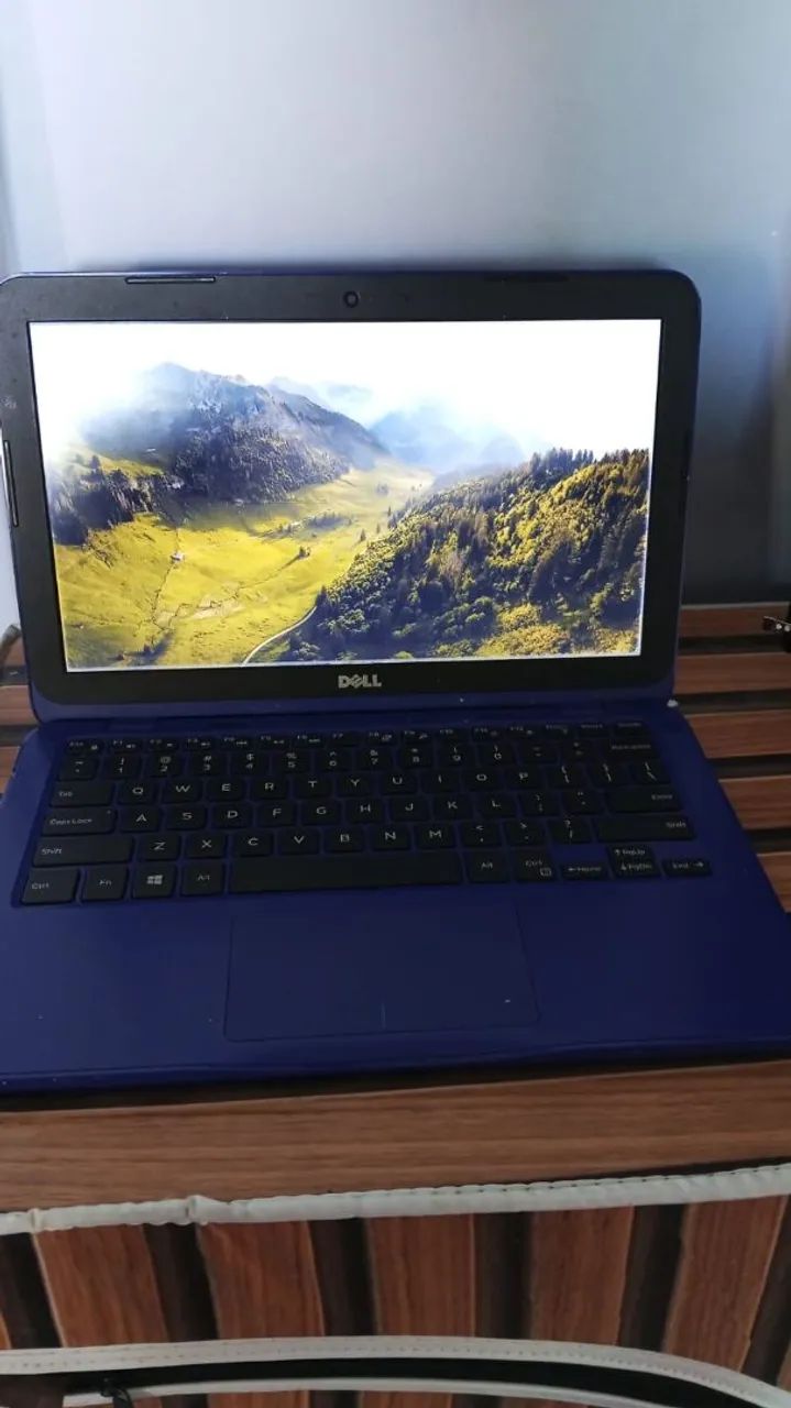 Netbook dell
