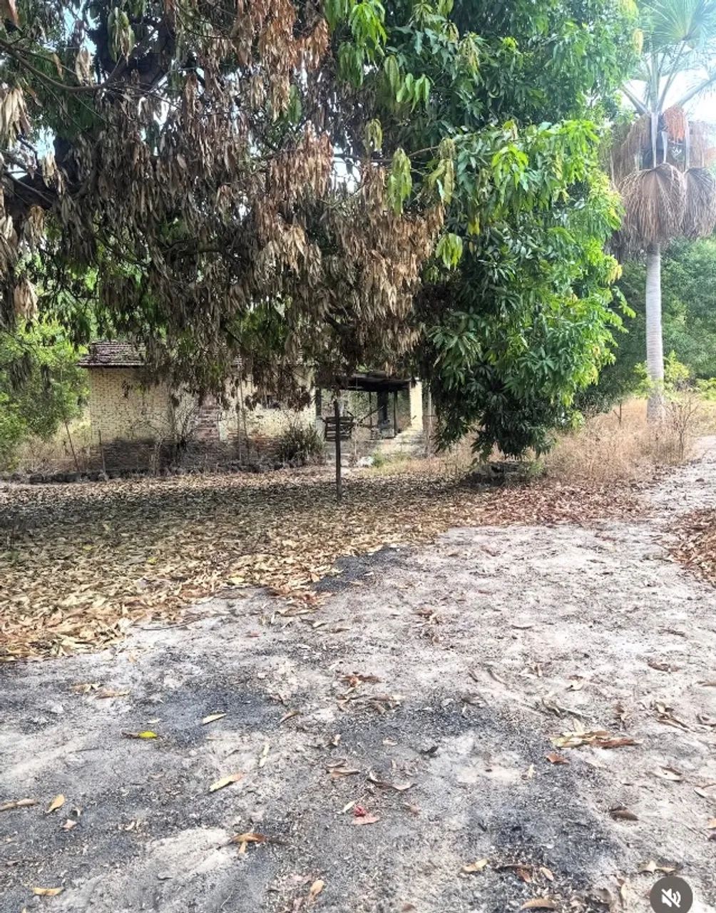 6 alqueires disponível dentro da cidade  - Foto 2