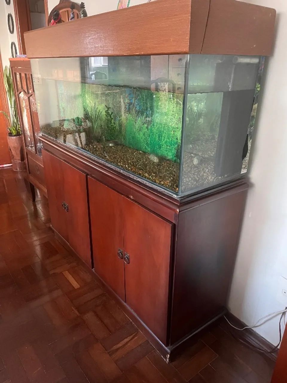 AQUÁRIO 276 litros