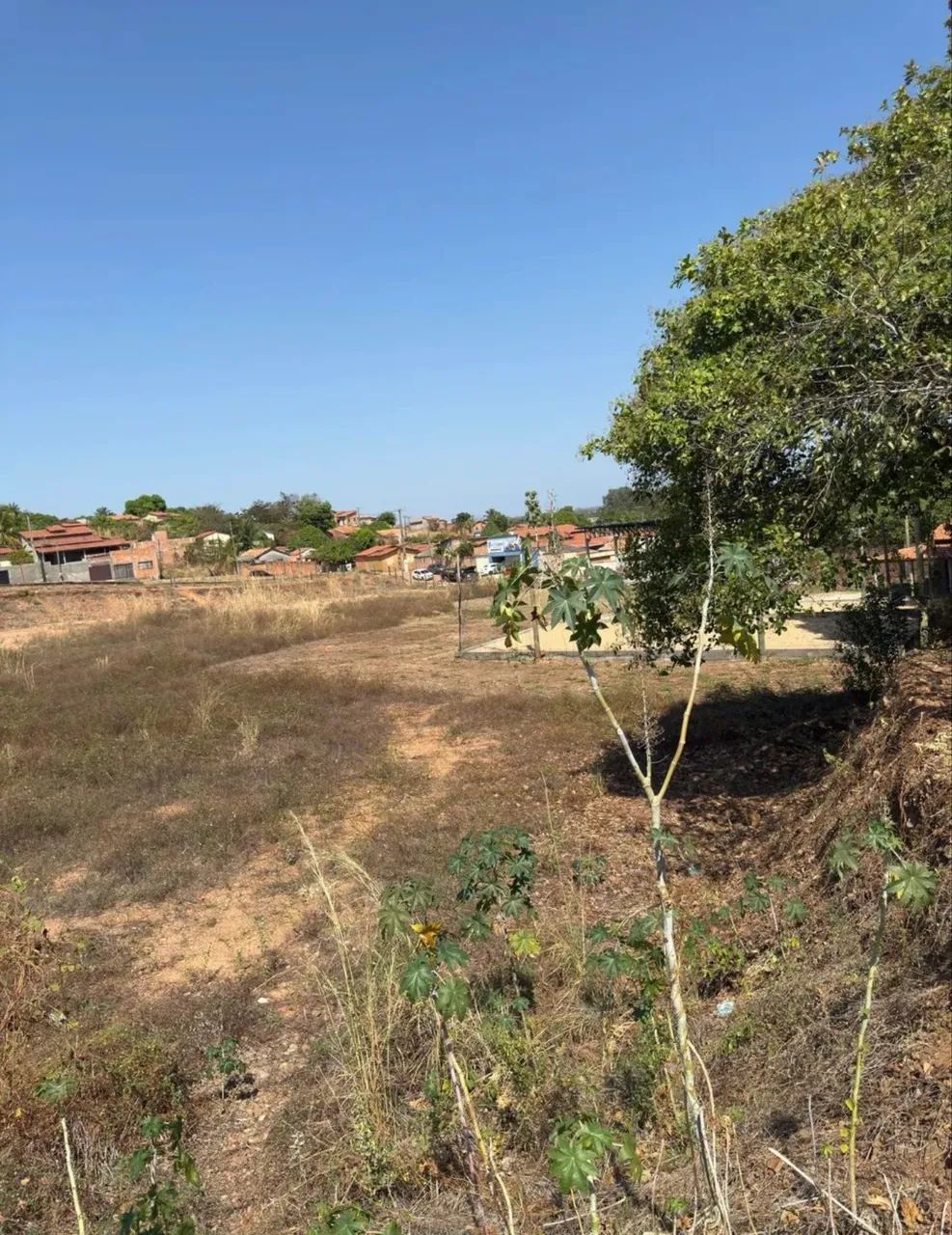Terreno Xambioá/TO (6.195 m²) - Foto 3