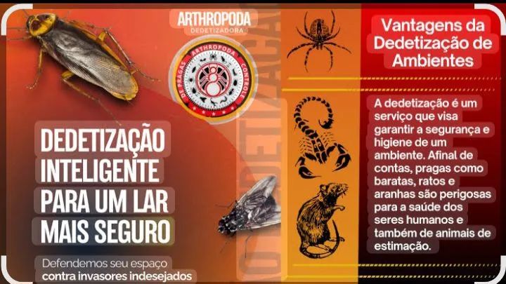 Controle de pragas com um profissional da área 