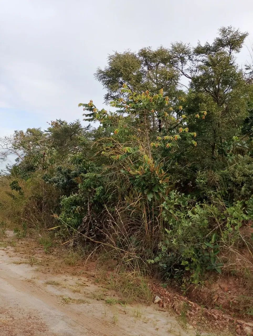 Terreno em Juatuba  - Foto 2
