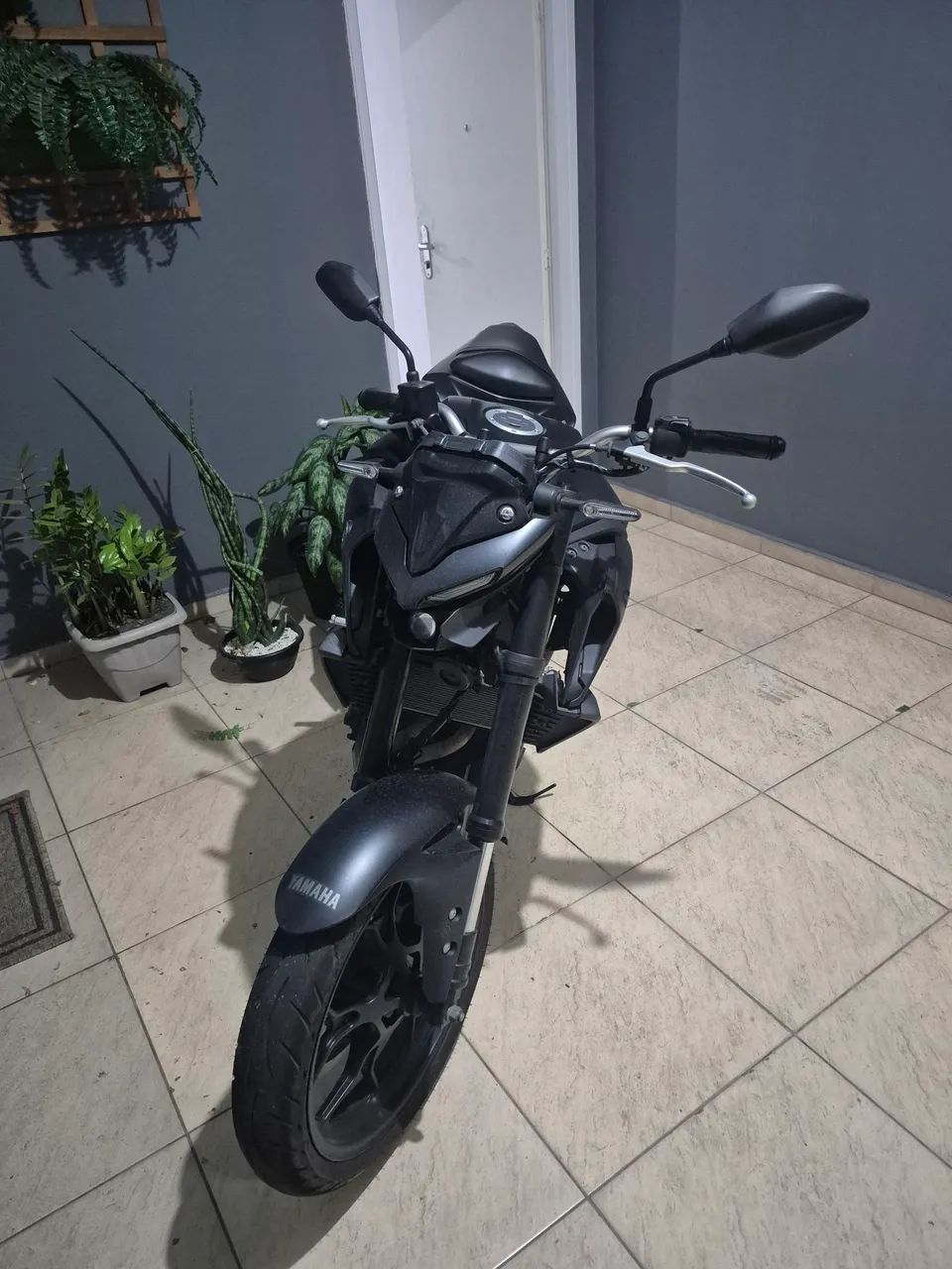 Mt 03 - Foto 3