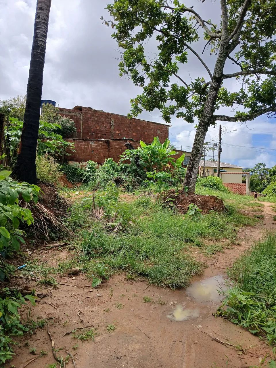 TERRENO GRANDE  - Foto 2