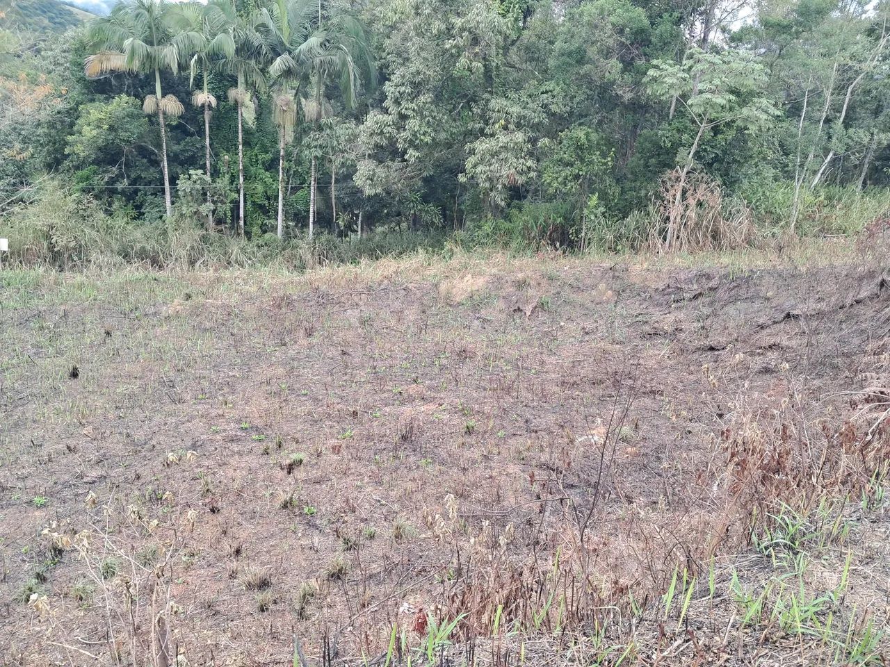 chácara e terrenos Pedro toledo - Foto 3
